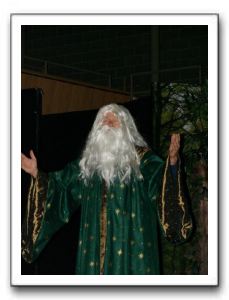 Ed Wintermute (Merlin)