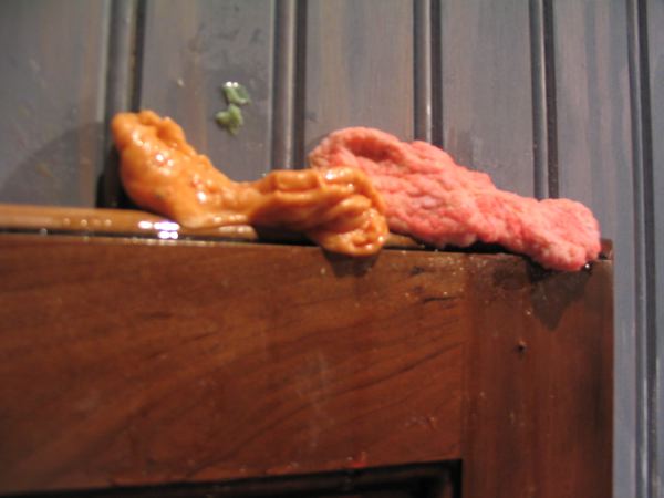 Closeup of the Gum